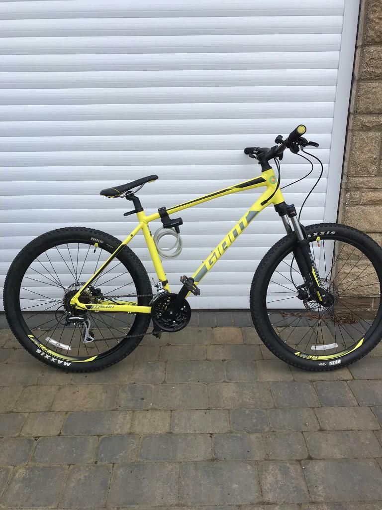 giant talon yellow